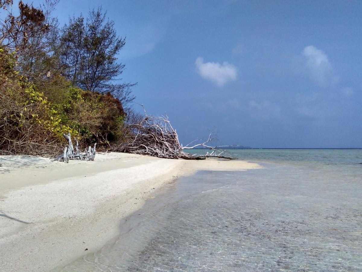 Asari Timo Cottage Karimunjawa Kültér fotó